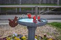 Kids_DFWzoo_3-2016 (58)